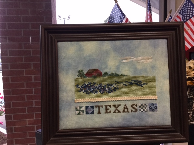 Texas Wildflower Fields